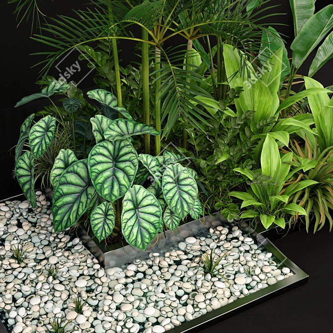 198 Plants Collection: Variety and Beauty 3D model image 3