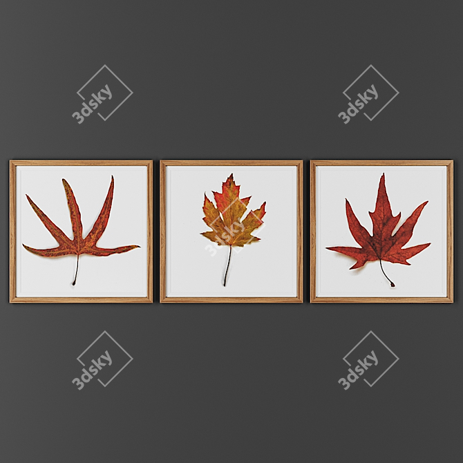 Wooden 3-Picture Frame Set 3D model image 1