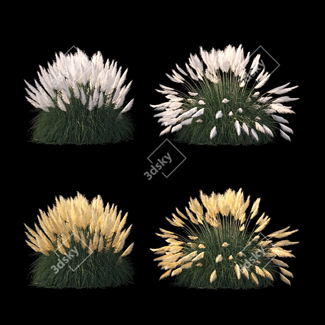 Pampas Grass: Stunning Ornamental Variety 3D model image 3