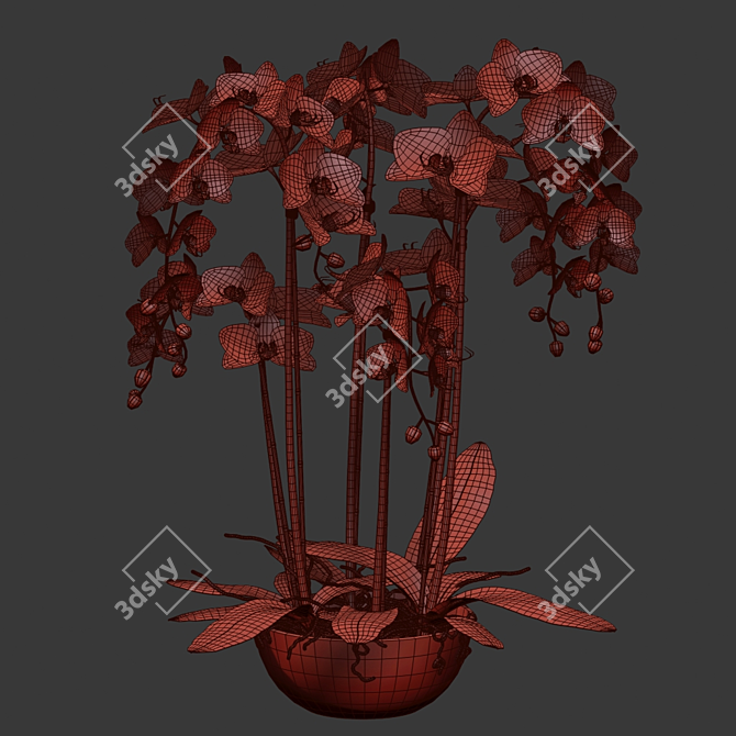 Blue Island Orchid - Detailed 3D Model 3D model image 3