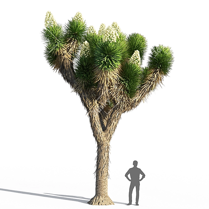 Joshua Tree 3D Printed Model 3D model image 1