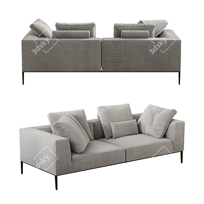 Modern Sofa by B&B Italia 3D model image 2