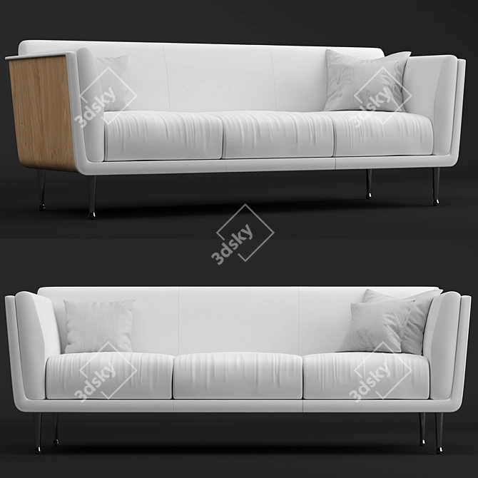 Stylish and Modern Goetz Sofa 3D model image 1