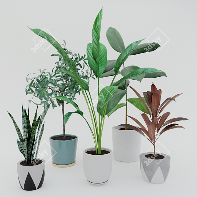 Modern Potted Plant Set 3D model image 1