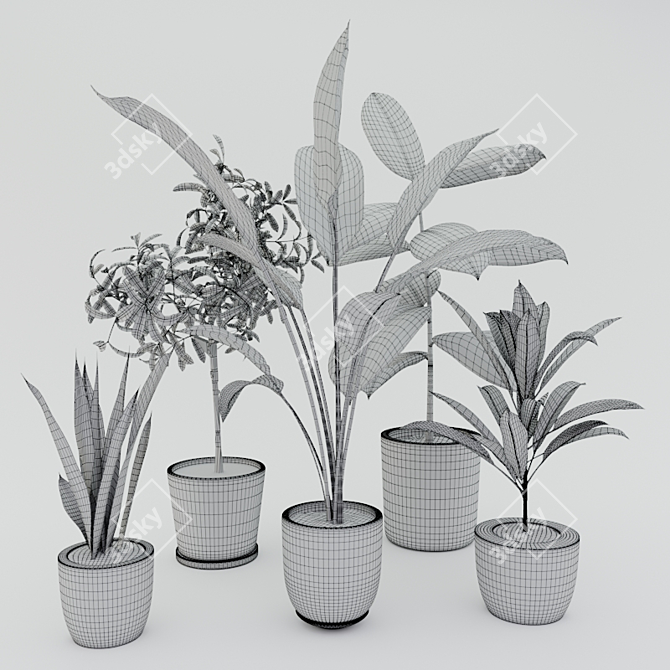 Modern Potted Plant Set 3D model image 3