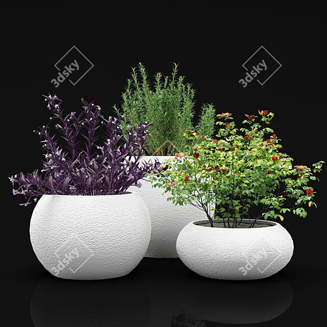 Exotic Outdoor Plant Bushes 3D model image 1