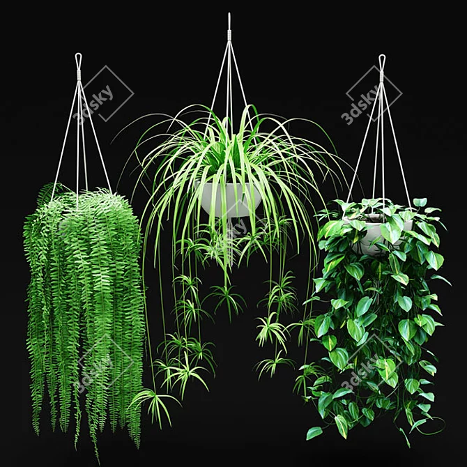 Suspended Blooms: Hanging Plant Set 3D model image 1