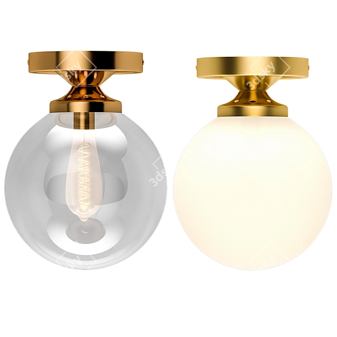 Sleek Globe Design Ceiling Light 3D model image 1