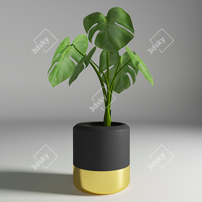 Monstera Flower Sculpture 3D model image 1