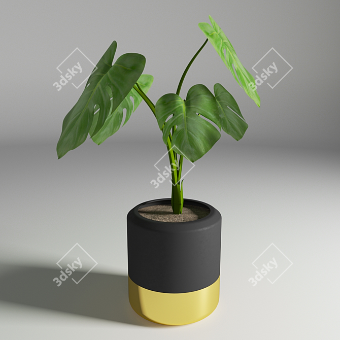 Monstera Flower Sculpture 3D model image 2