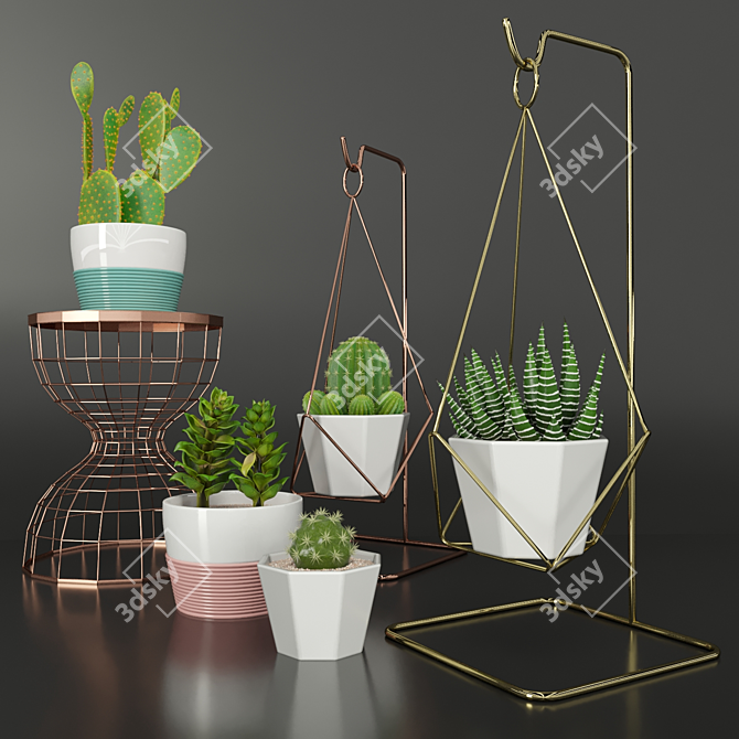 Designer's Indoor Plant Collection 3D model image 1