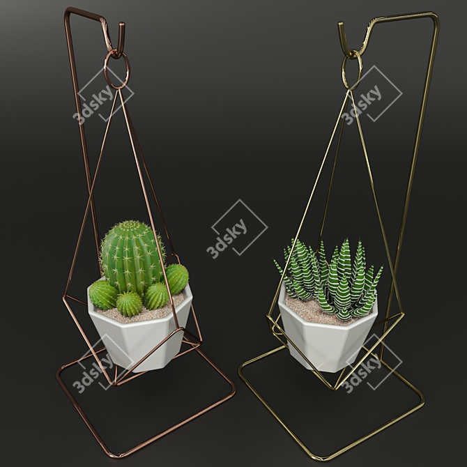 Designer's Indoor Plant Collection 3D model image 2