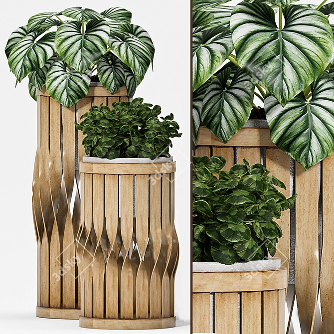 Botanical Bliss: Decorative Plant Set 3D model image 2