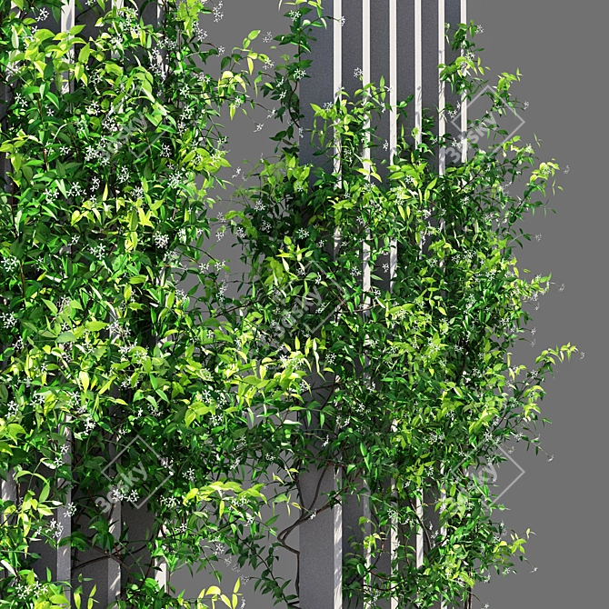 Jasminoides Trachelospermum: 6179mm x 1801mm 3D model image 2