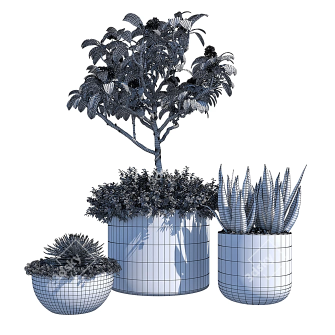 Assorted Plants Pack 3D model image 2