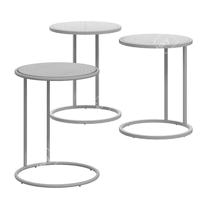 Elegant Capella Coffee Table 3D model image 2