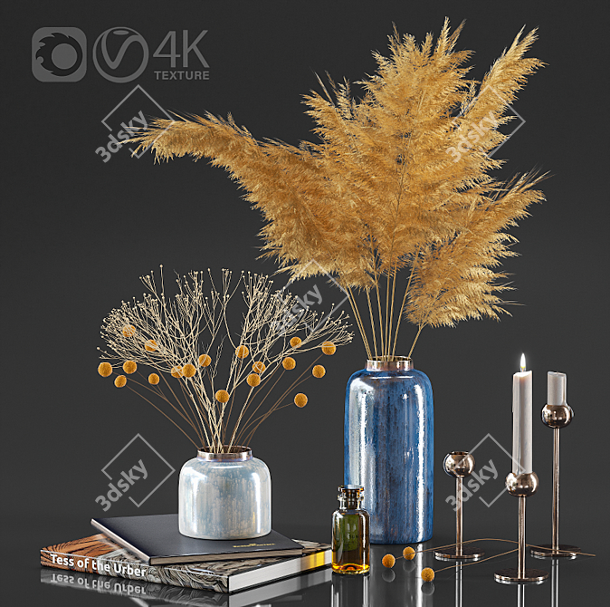 Natural Dried Plant Collection 3D model image 1