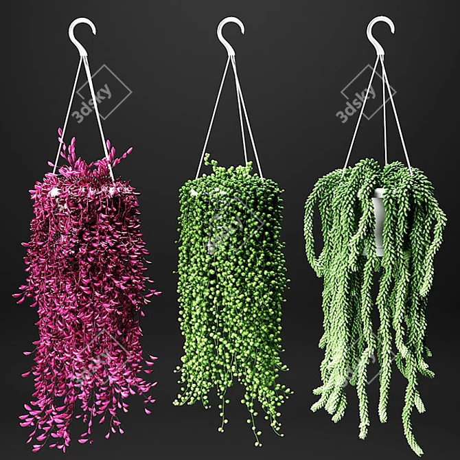 Hang & Bloom: Set of Hanging Flora 3D model image 1