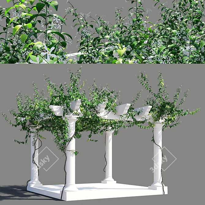 Trellis Jasmine Pergola: 5277 x 5974 x 4316mm 3D model image 1