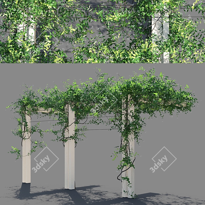 Trachelospermum Jasminoides Pergola 3D model image 3