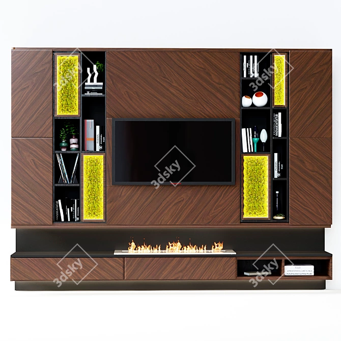 Contemporary Fireplace with Shelves and TV 3D model image 1
