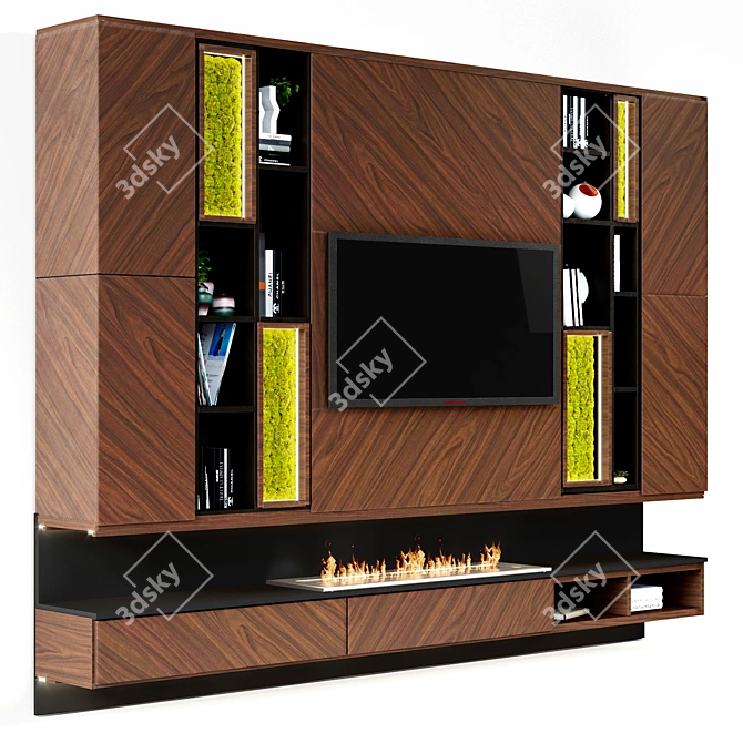 Contemporary Fireplace with Shelves and TV 3D model image 2