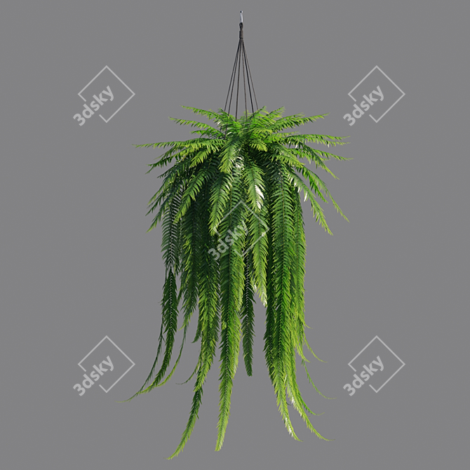 Vertex Color: High Poly Sword Fern 3D model image 3