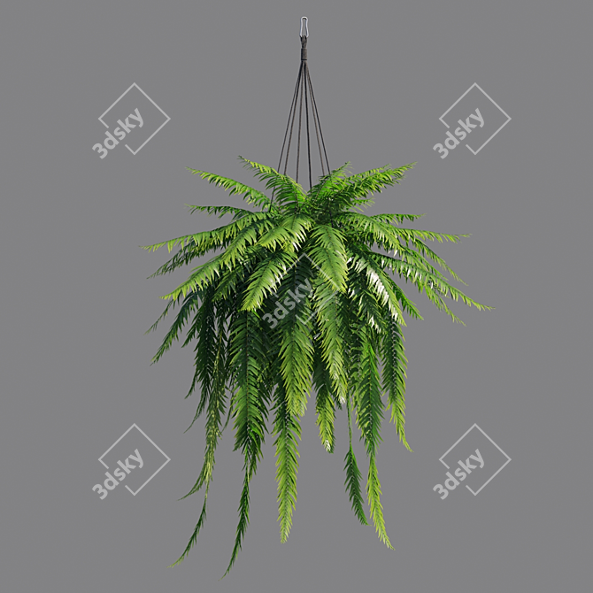 Vertex Color: High Poly Sword Fern 3D model image 4