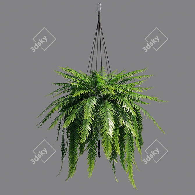 Vertex Color: High Poly Sword Fern 3D model image 5