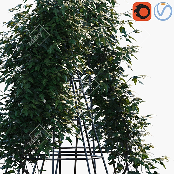 Climbing Delight: Plant in #36 Pot 3D model image 2
