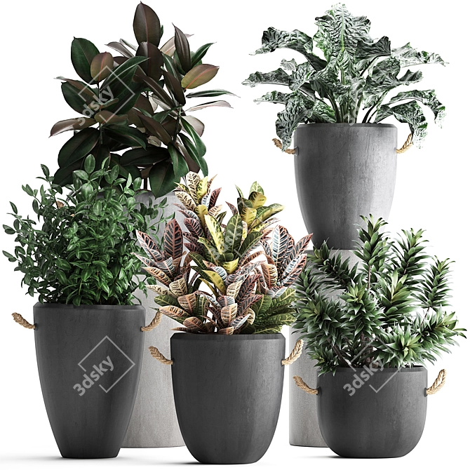 Exotic Houseplant Collection 3D model image 1