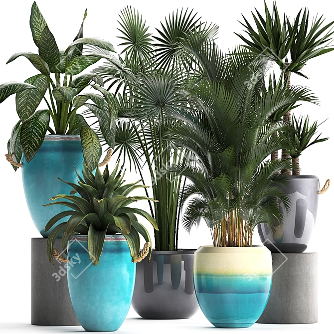 Exotic Houseplant Collection 3D model image 1