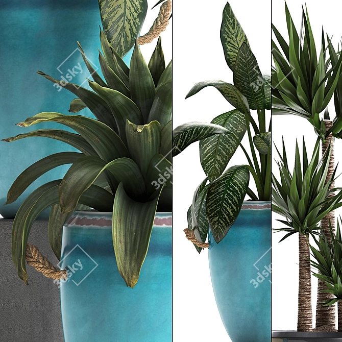 Exotic Houseplant Collection 3D model image 2