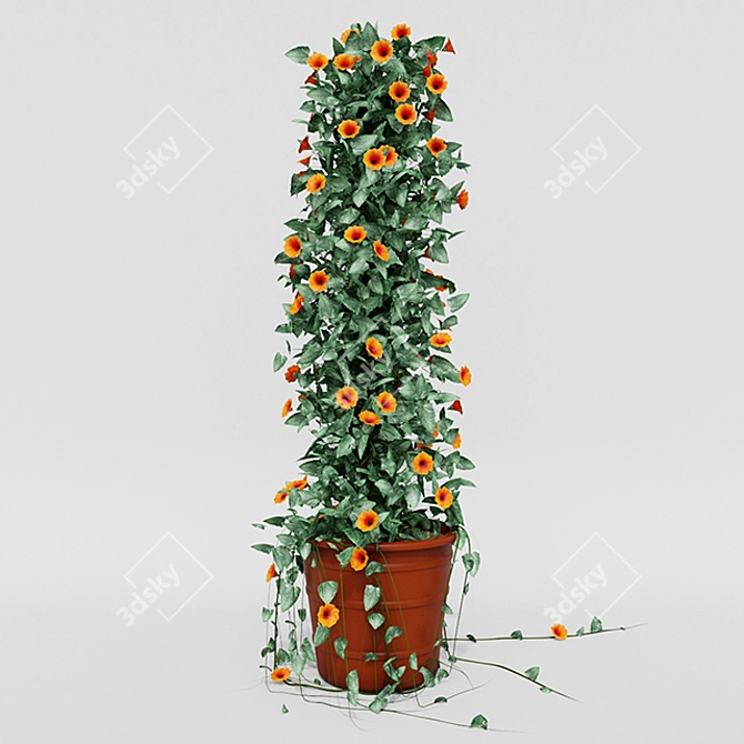 Tall and Colorful Thunbergia Ivy in Pot 3D model image 1