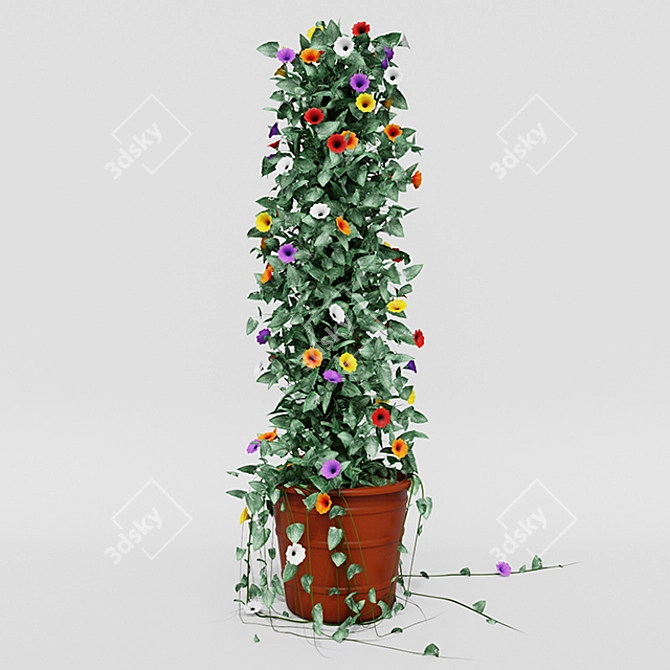 Tall and Colorful Thunbergia Ivy in Pot 3D model image 2