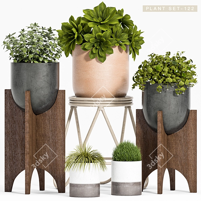 Elegant Plant Ensemble 3D model image 1