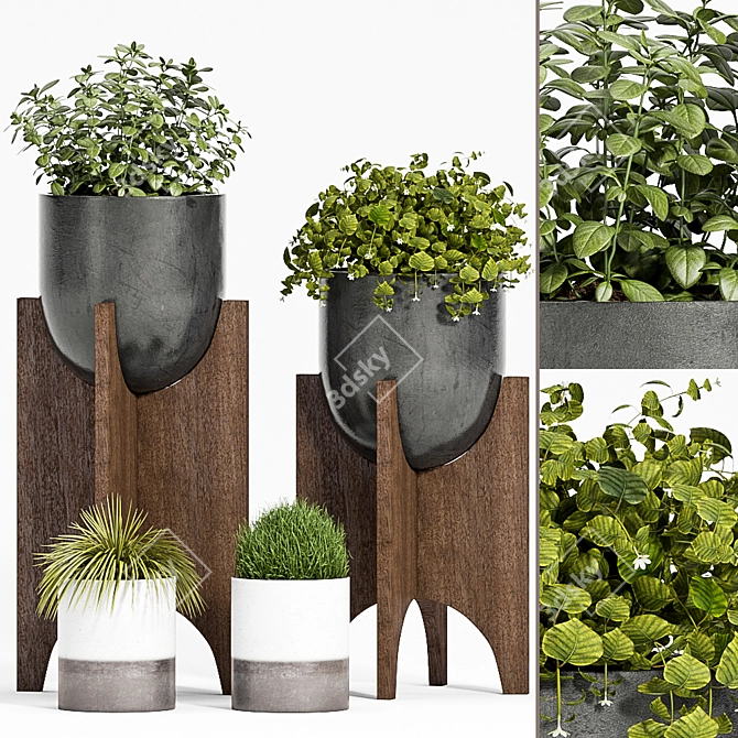 Elegant Plant Ensemble 3D model image 2