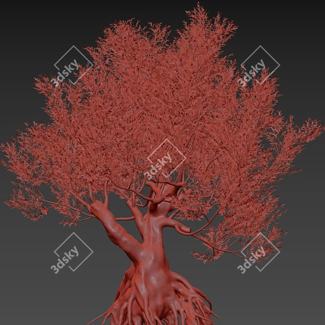 Europa Olea Olive Tree 3D Model 3D model image 2