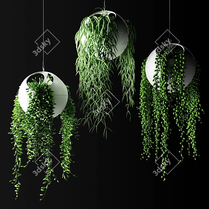  Stylish Hanging Plants in Spherical Planters 3D model image 1