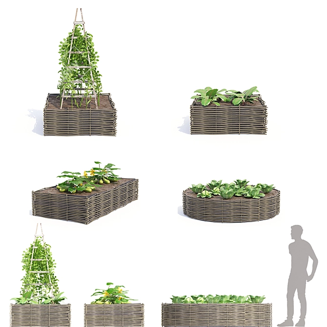 3D Vegetable Garden: Vol. 3 | Kitchen Garden 3D model image 3