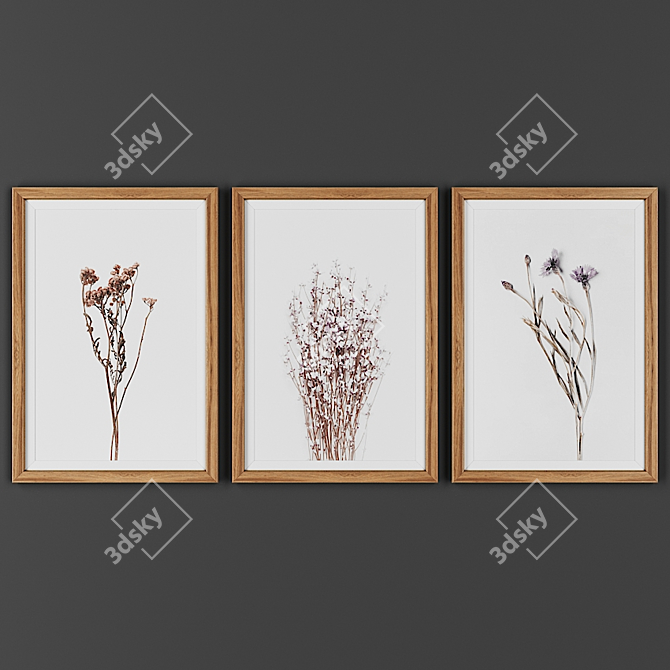 Elegant Trio Picture Frame Set 3D model image 1