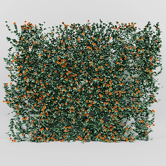 Lush Thunbergia Alata Ivy: Detailed, Colorful 3D Model 3D model image 1