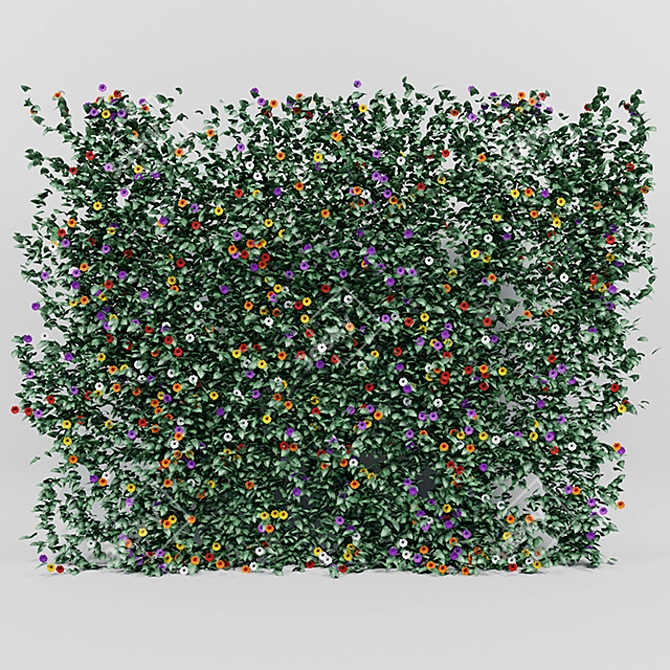 Lush Thunbergia Alata Ivy: Detailed, Colorful 3D Model 3D model image 2