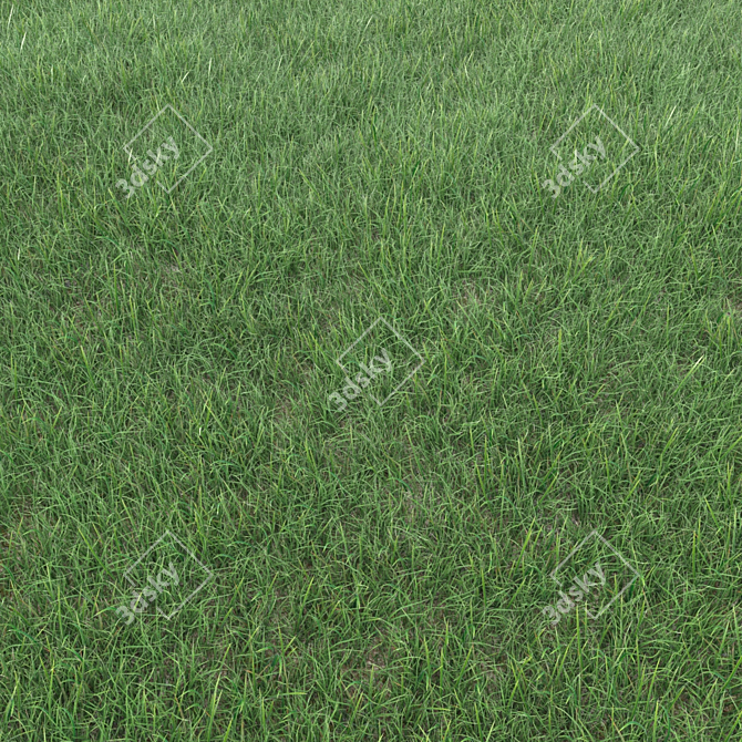 Realistic Grass Landscaping Model 3D model image 2