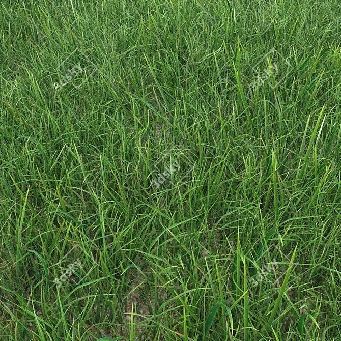 Realistic Grass Landscaping Model 3D model image 3