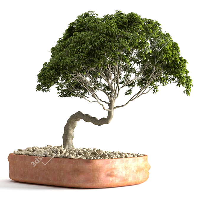3Dsmax Plant 51: High-Quality Model 3D model image 1