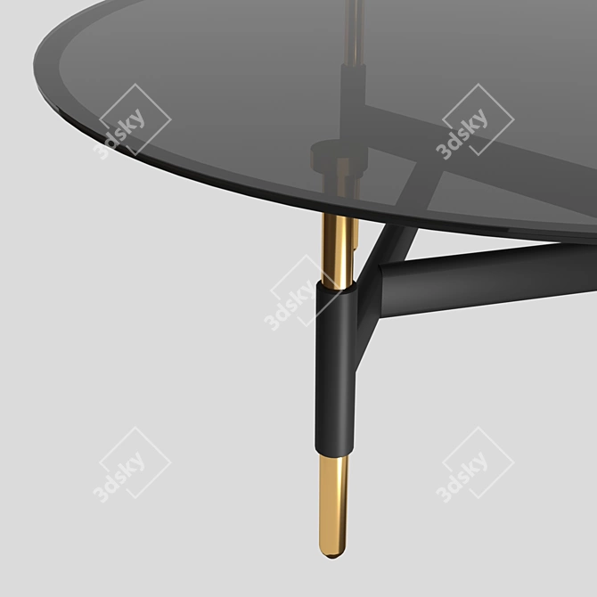 Garda Decor OM Glass Coffee Table 3D model image 2