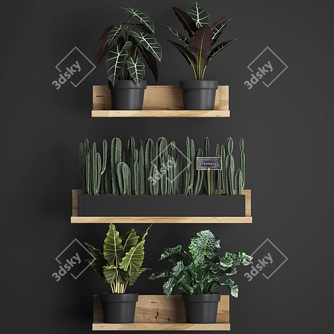 Exotic Plant Collection 3D model image 2