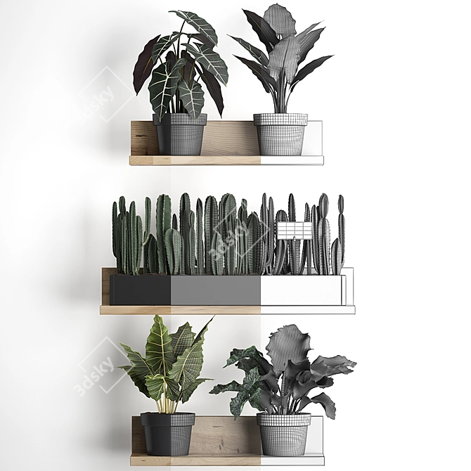 Exotic Plant Collection 3D model image 3