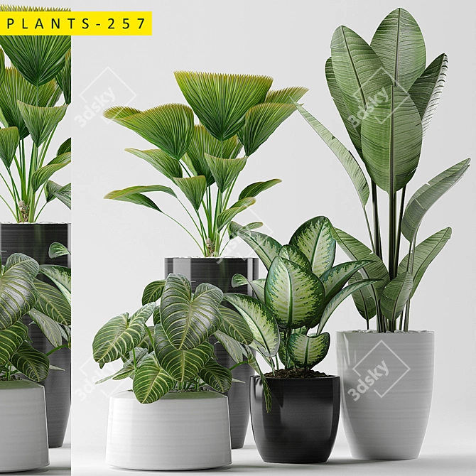 Botanical Beauty: Plants 257 Collection 3D model image 1